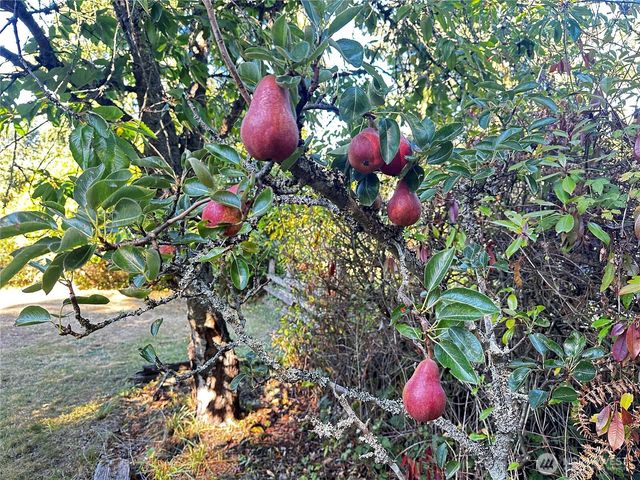 196 N Solmar Drive, Sequim, WA 98382