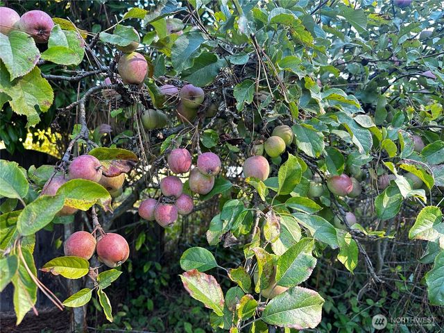 196 N Solmar Drive, Sequim, WA 98382