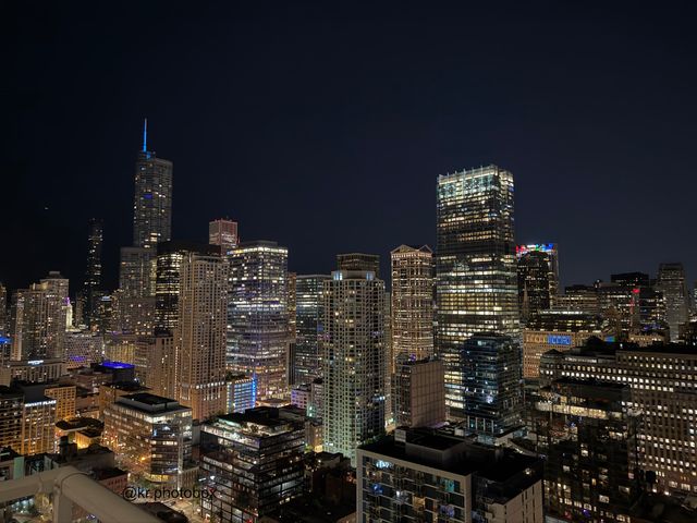 303 W Ohio Street 3804, Chicago, IL 60654