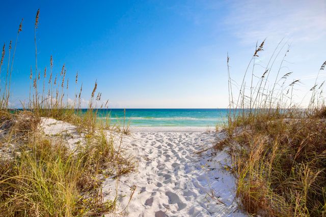 16 Blue Ohana Court, Miramar Beach, FL 32550