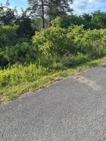 51 Mary Alice Way, Sevierville, TN 37876