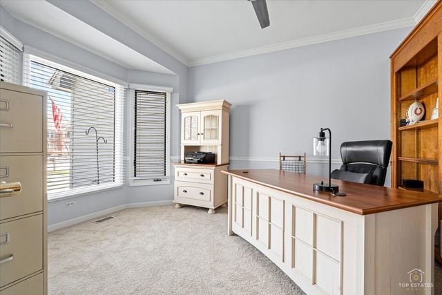 3719 Falkner Drive, Naperville, IL 60564