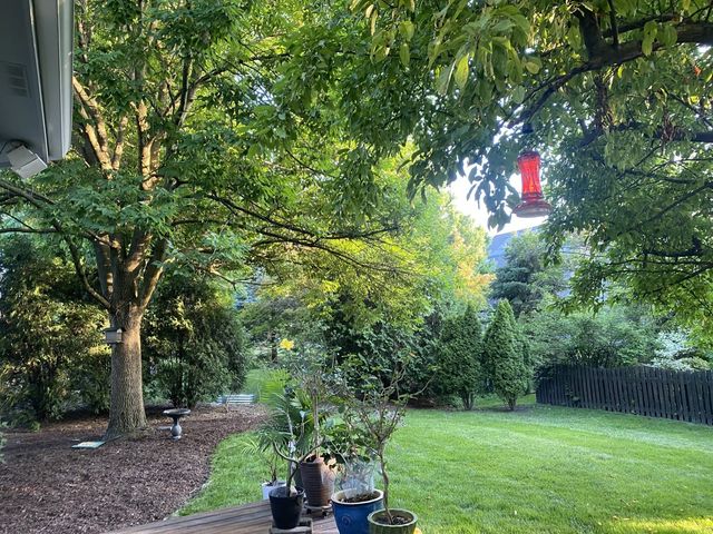 3719 Falkner Drive, Naperville, IL 60564