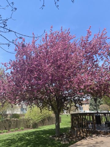 3719 Falkner Drive, Naperville, IL 60564