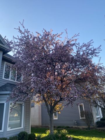 3719 Falkner Drive, Naperville, IL 60564