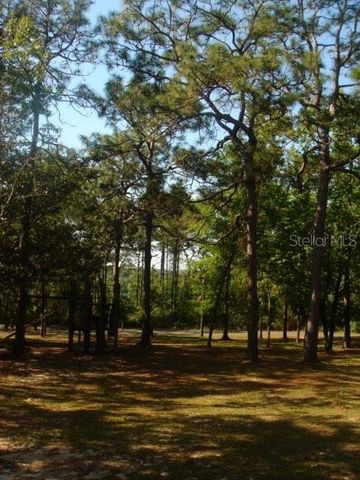 00 CASTILLO DR, Alford, FL 32420