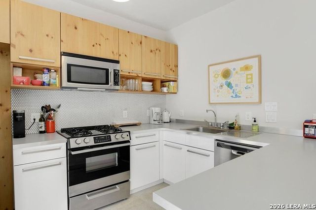 110 Biering, San Antonio, TX 78210