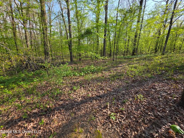 14929 Strickland Road, Byhalia, MS 38611