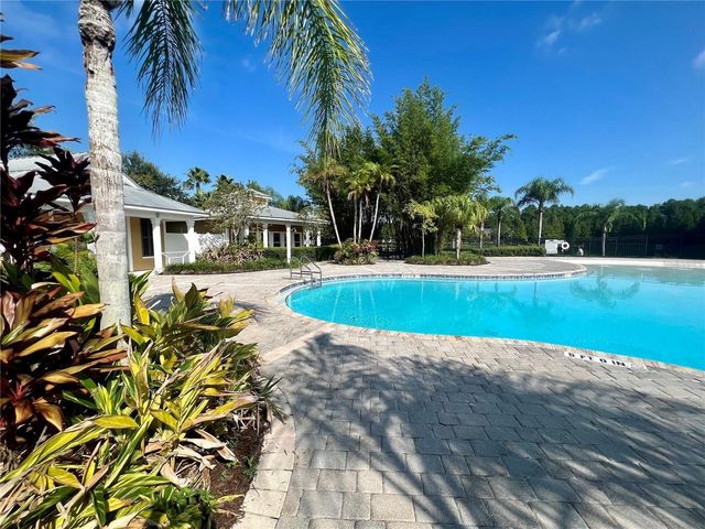 14241 OASIS COVE BOULEVARD GE, Windermere, FL 34786