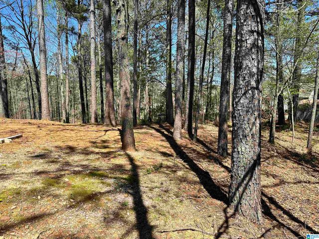 559 WOODBRIDGE TRACE, Chelsea, AL 35043