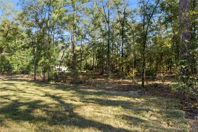 298 W Baker Place, Citrus Springs, FL 34434