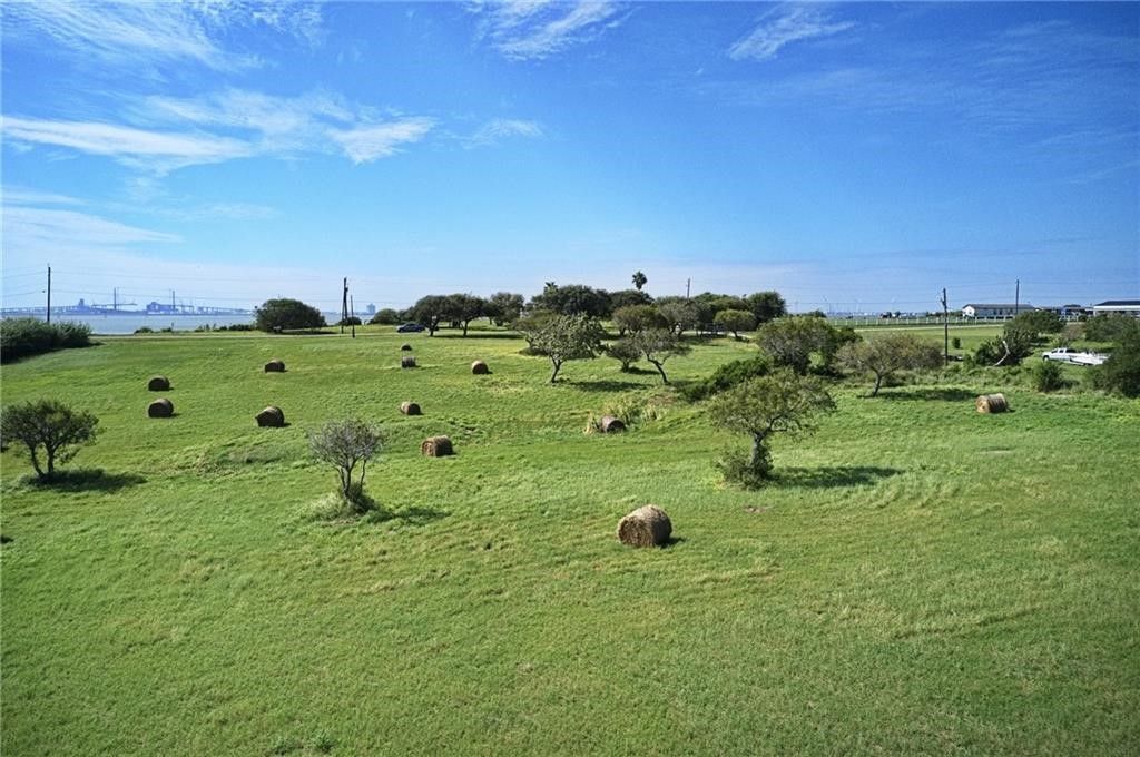 9544 County Road 2250, Taft, TX 78390 — photo 3