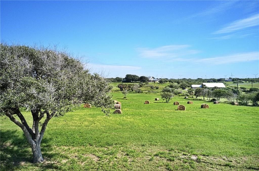 9544 County Road 2250, Taft, TX 78390 — photo 4