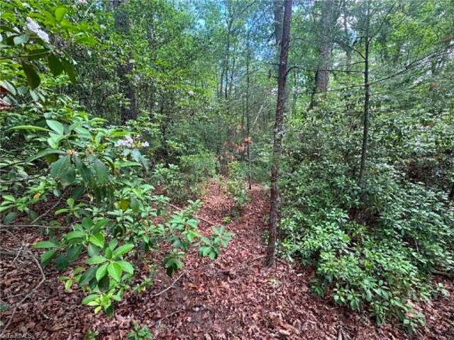 Lot 19 Fawn Lane, Hayes, NC 28635