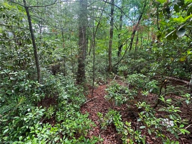 Lot 19 Fawn Lane, Hayes, NC 28635