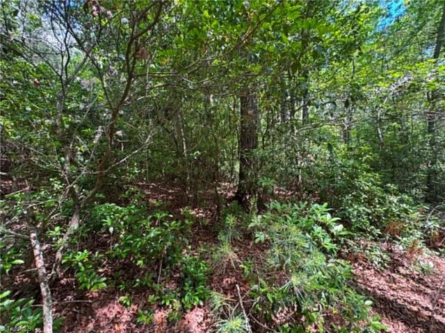 Lot 19 Fawn Lane, Hayes, NC 28635