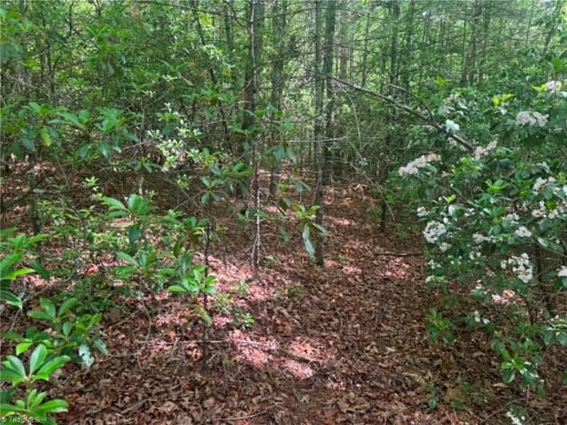 Lot 19 Fawn Lane, Hayes, NC 28635