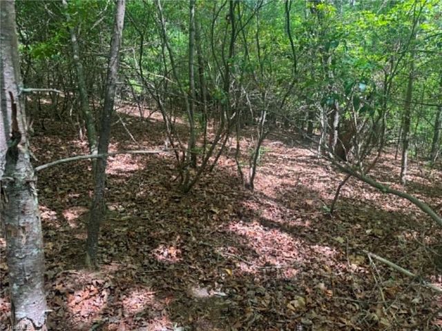 Lot 19 Fawn Lane, Hayes, NC 28635