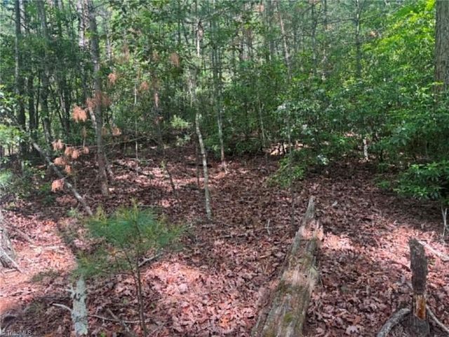Lot 19 Fawn Lane, Hayes, NC 28635