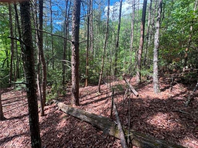 Lot 19 Fawn Lane, Hayes, NC 28635