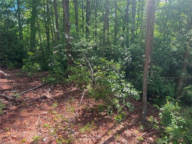 Lot 19 Fawn Lane, Hayes, NC 28635