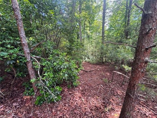 Lot 19 Fawn Lane, Hayes, NC 28635