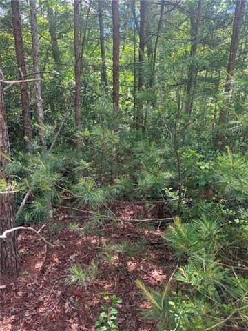 Lot 19 Fawn Lane, Hayes, NC 28635