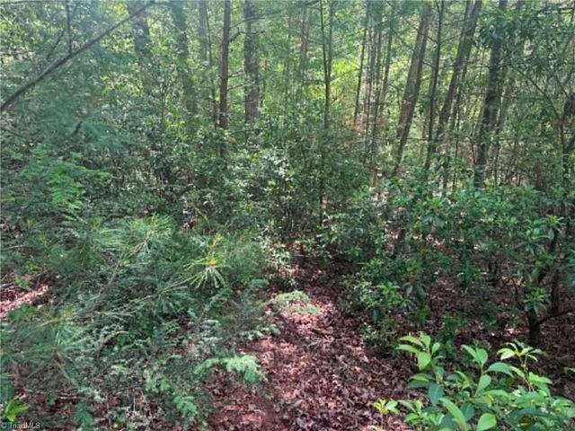 Lot 19 Fawn Lane, Hayes, NC 28635