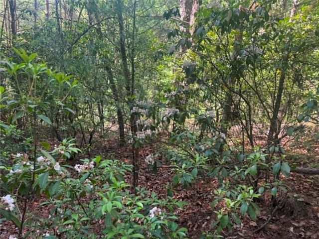 Lot 19 Fawn Lane, Hayes, NC 28635