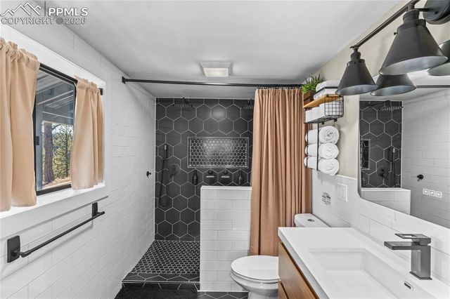 80 Hobe Creek Trail, Florissant, CO 80816