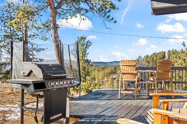 80 Hobe Creek Trail, Florissant, CO 80816