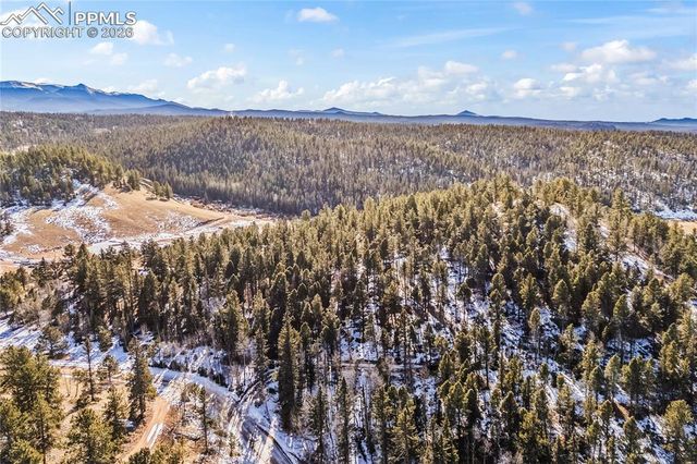 80 Hobe Creek Trail, Florissant, CO 80816