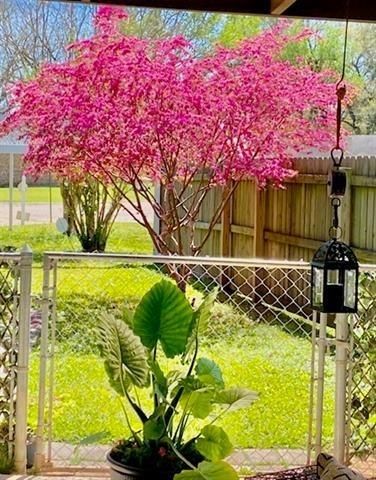 5813 STARLING CIRCLE Circle, Alexandria, LA 71301