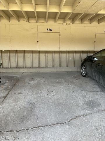 9640 Cove Drive A-36, North Royalton, OH 44133