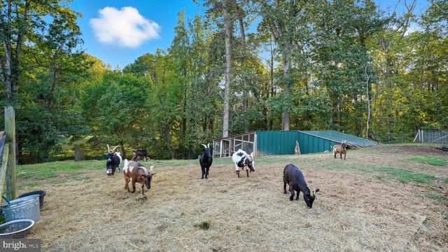 49 DOG PATCH LN, Stafford, VA 22554