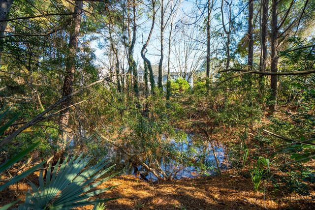 1336 Wynbrook Trace, Mount Pleasant, SC 29466