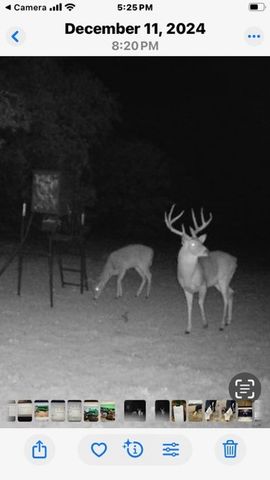 TBD County Road 104, Whitesboro, TX 76273