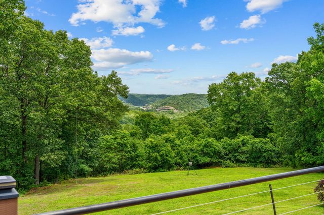11772 State Hwy 176, Walnut Shade, MO 65771
