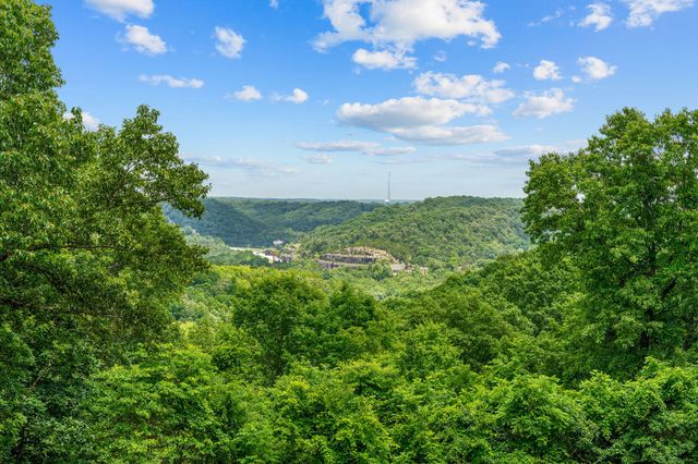 11772 State Hwy 176, Walnut Shade, MO 65771