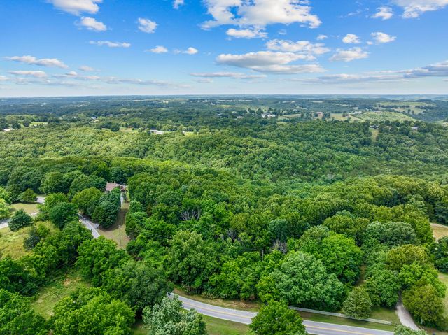 11772 State Hwy 176, Walnut Shade, MO 65771