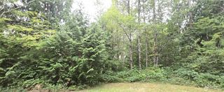 0 Alder Place, Elma, WA 98541