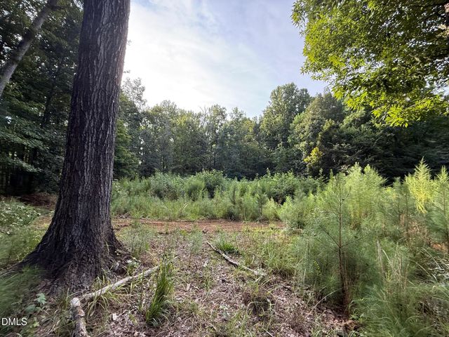 Lot 1 Orange Grv Street, Hillsborough, NC 27278
