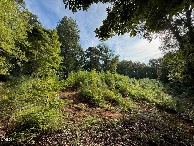 Lot 1 Orange Grv Street, Hillsborough, NC 27278