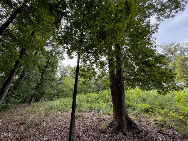 Lot 1 Orange Grv Street, Hillsborough, NC 27278