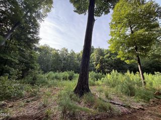 Lot 1 Orange Grv Street, Hillsborough, NC 27278