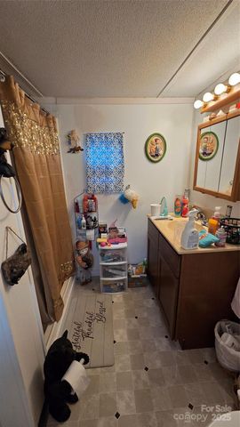 17 Shena Drive, Waynesville, NC 28785