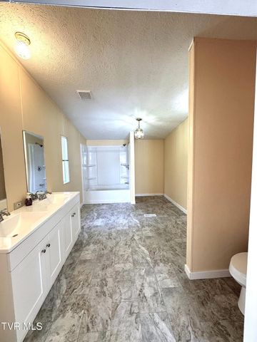 1555 Hamner Hollow Road, Big Stone Gap, VA 24219