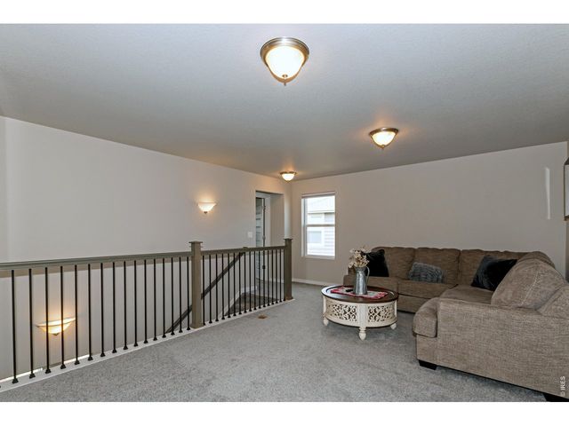 1249 Wild Basin Rd, Severance, CO 80550