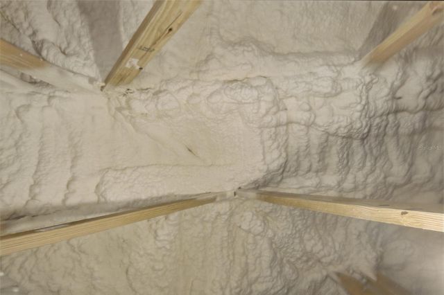 16098 MANGROVE ROAD, Winter Garden, FL 34787