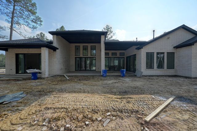 25096 Seguin Trail, Montgomery, TX 77316